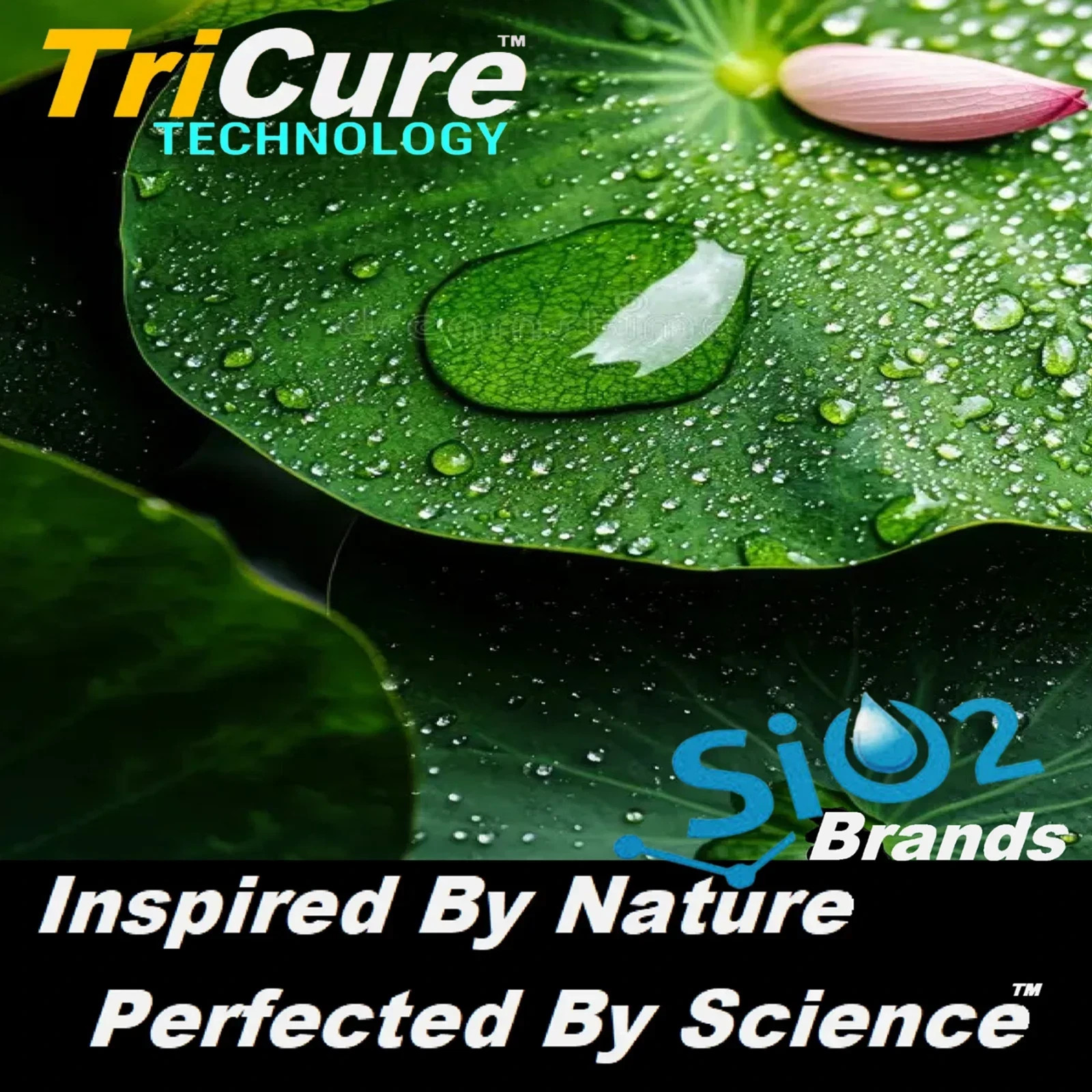 PONTOON BOAT MARINE GRADE CERAMIC COATING PROTECTION ADVANCED TRICURE TECHNOLOGY